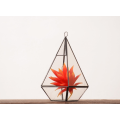 Nowy produkt Kryty geometryczne szklane terrarium wiszące